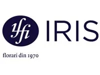 floraria-iris floraria-iris