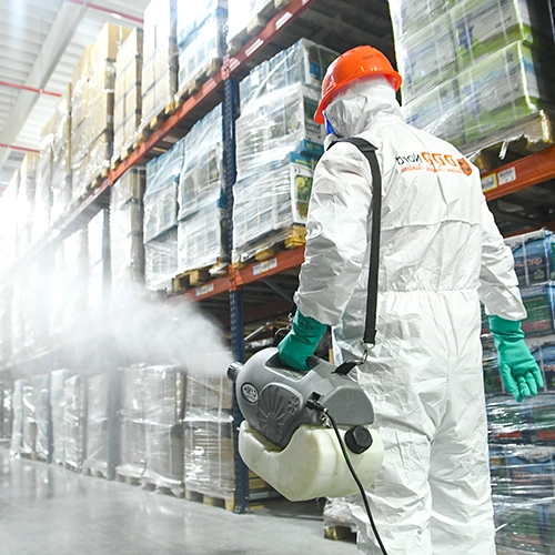 dezinfectie-brasov-mobile