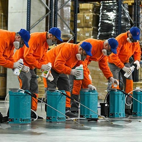 dezinsectie-brasov-mobile dezinsectie-brasov-mobile