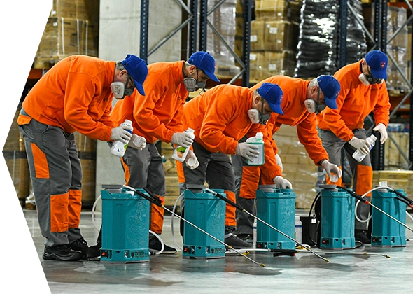 dezinsectie-brasov dezinsectie-brasov