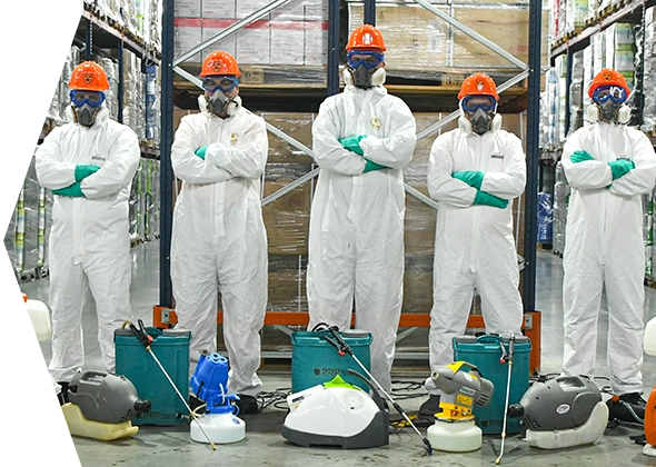 servicii-ddd-rezidentiale-brasov servicii-ddd-rezidentiale-brasov