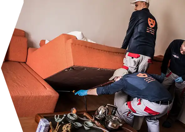 dezinsectie-gandaci-bucatarie